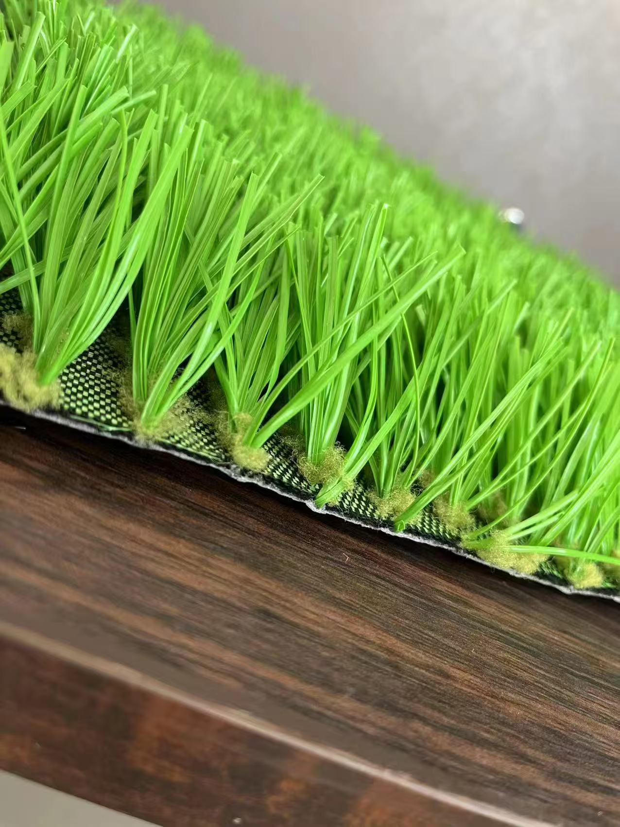 运动草坪