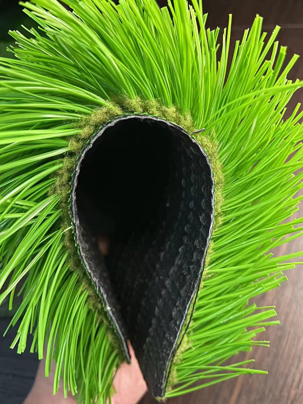 运动草坪